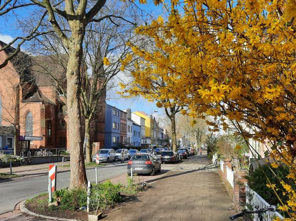 Blick in die Humboldstrasse beim Pilotprojekt